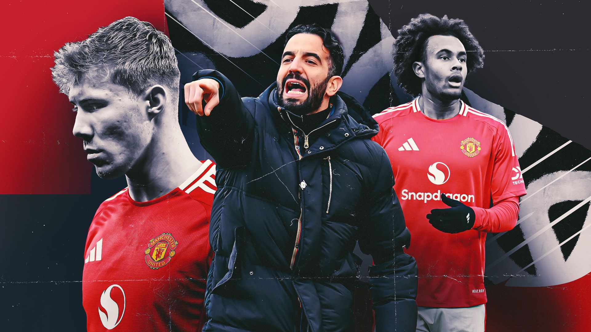 洲所獲得的 洲所獲得的